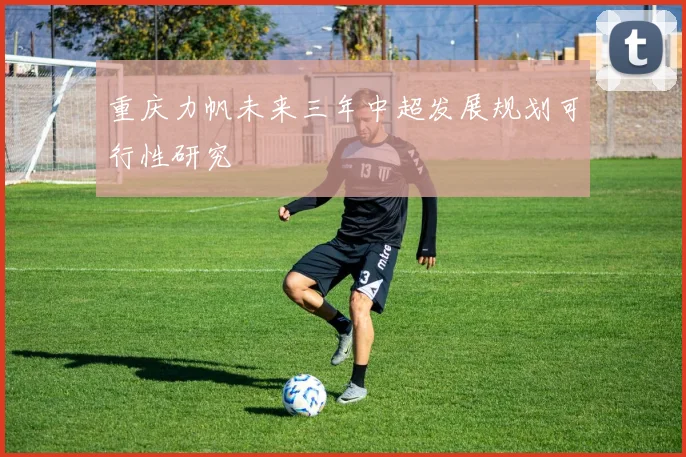 重庆力帆未来三年中超发展规划可行性研究