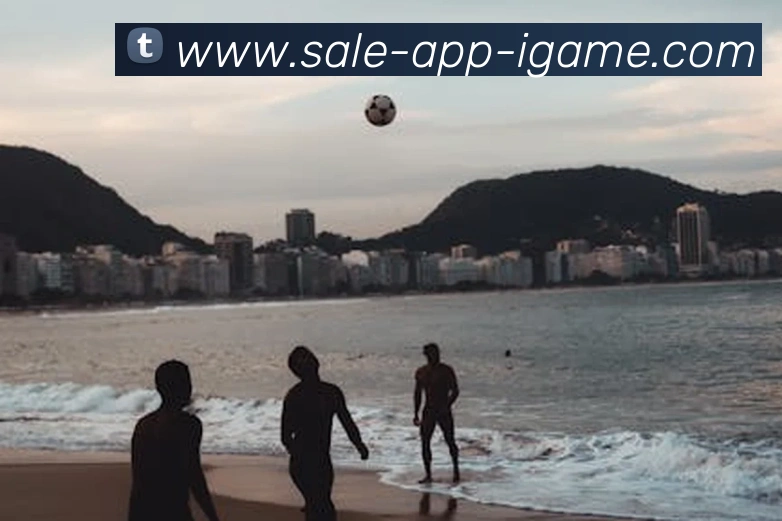 多媒体互动体验