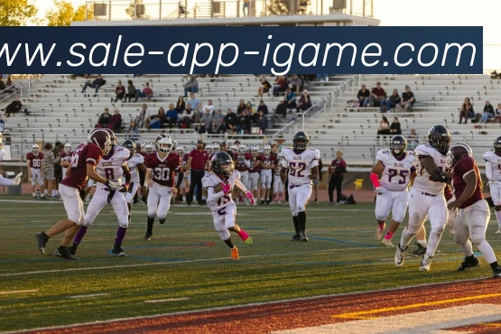 爱游戏APPAPP 体育赛事宣传图